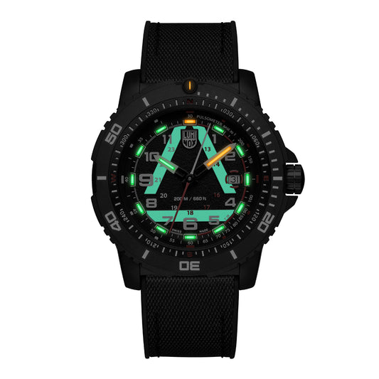 ICE-SAR 1080 Series - 1081