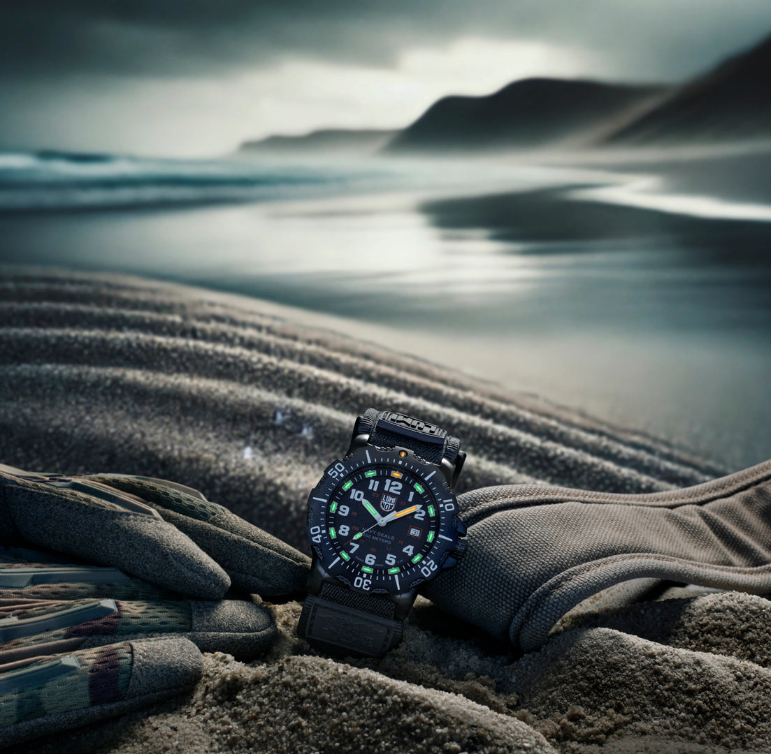Luminox 4230 Series - 4231.SET