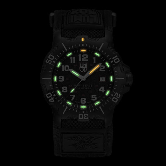 Luminox 4230 Series - 4231.SET