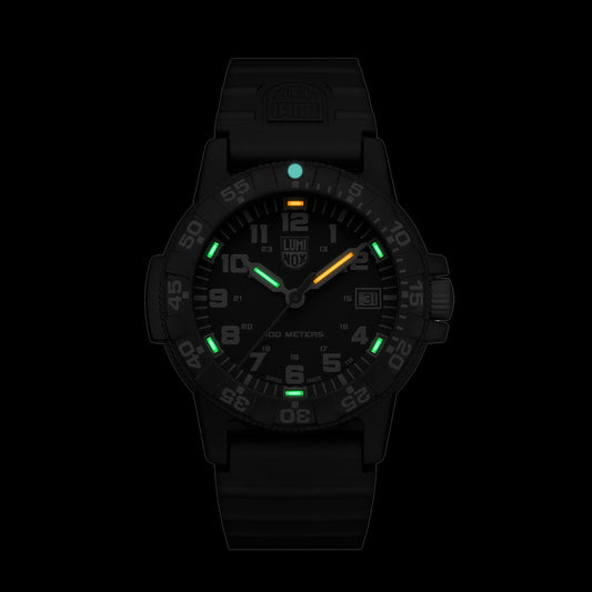 Leatherback Sea Turtle - 0301