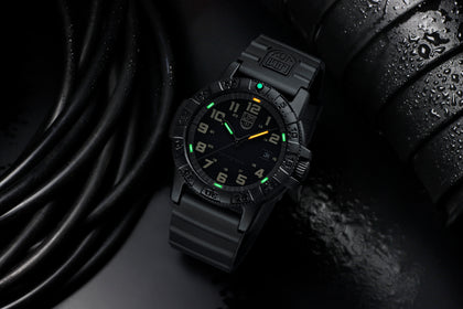 Leatherback Sea Turtle Series