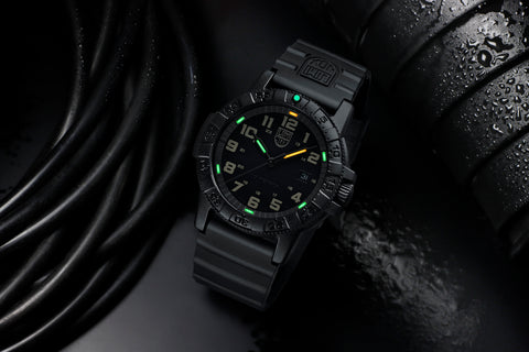 Leatherback Sea Turtle Series