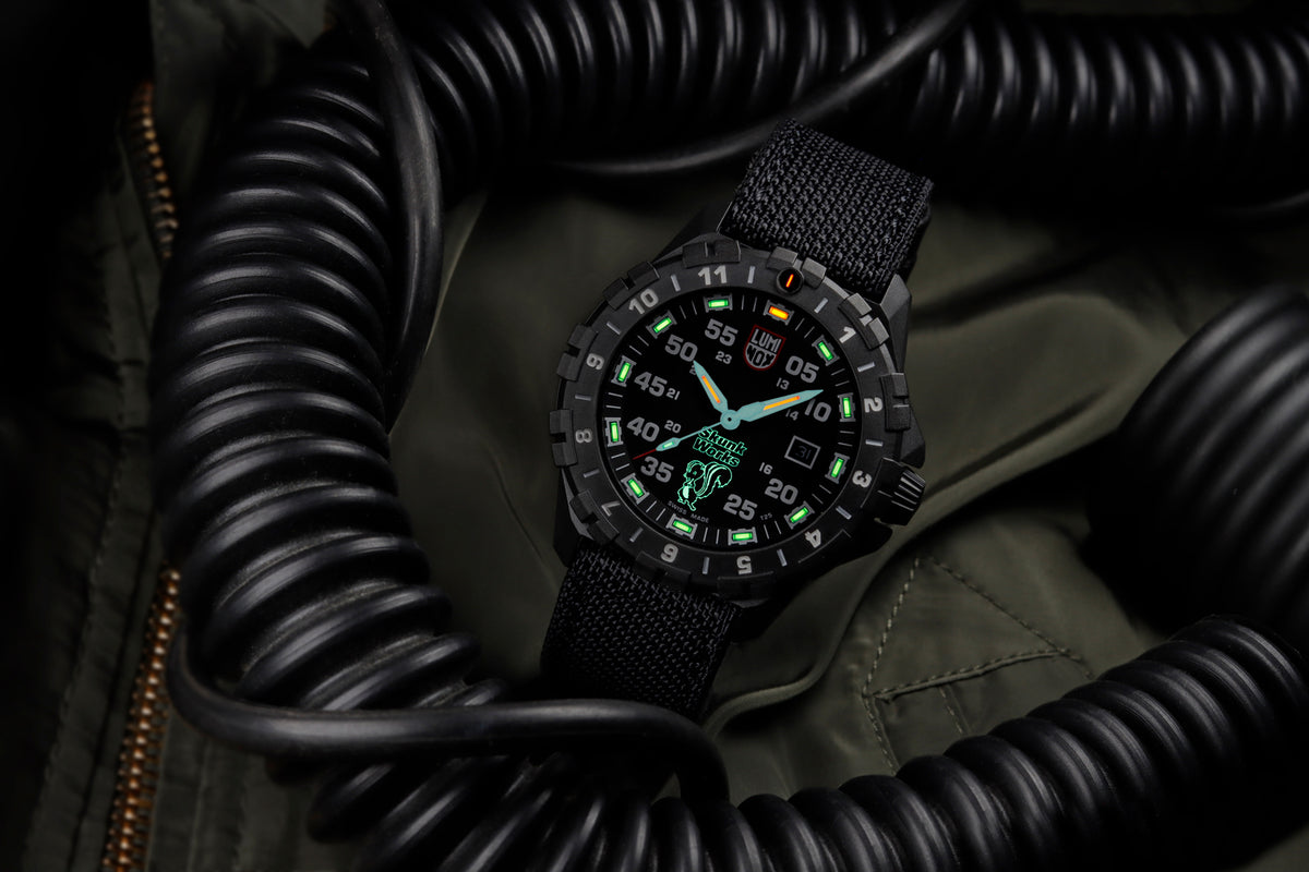 F-117 Nighthawk x SkunkWorks Heritage - 6442.H