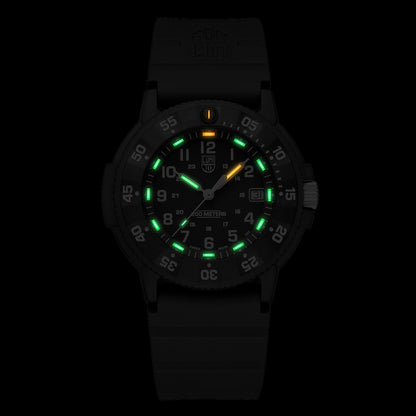 Luminox Original EVO Series - 3013.EVO.S