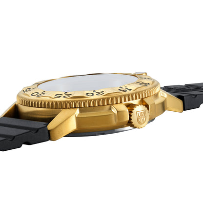 Luminox Foundation Series - 3221.NSF