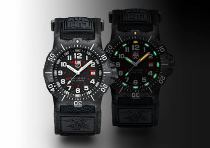 Luminox 4230 Series - 4231.SET