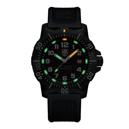 Luminox 4230 Series - 4231.SET