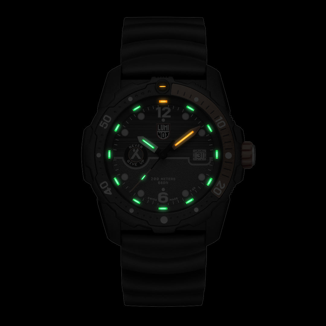 Bear Grylls Survival SEA - 3729
