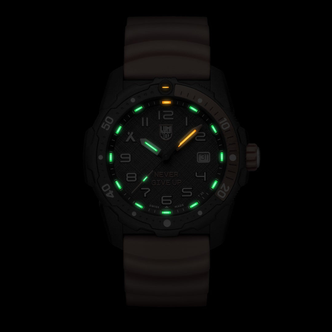 Bear Grylls Survival Never Give Up - 3729.NGU – Shop Official Luminox  Watches Online | Singapore | Malaysia | Brunei |