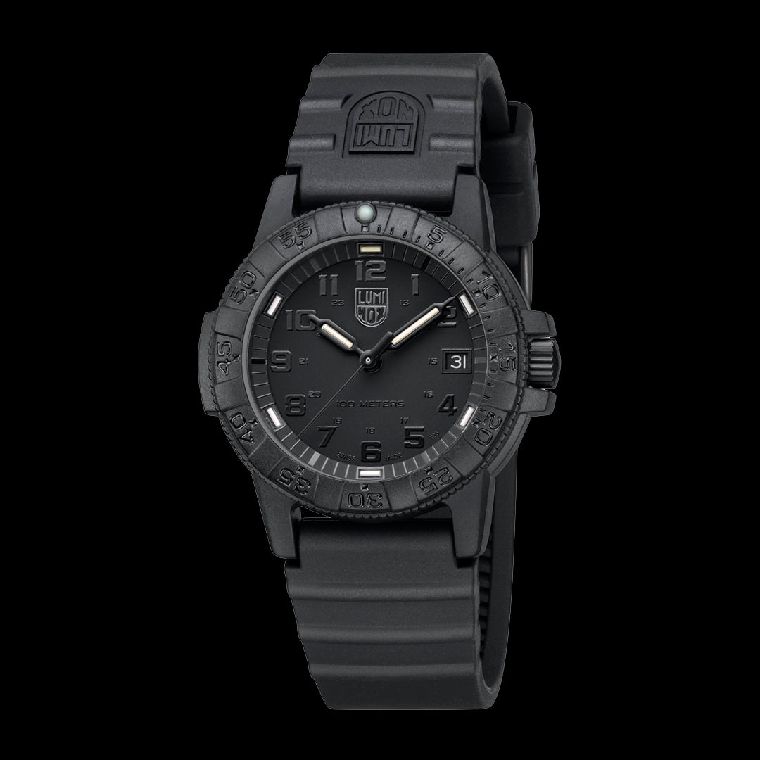 Leatherback Sea Turtle - 0301.BO