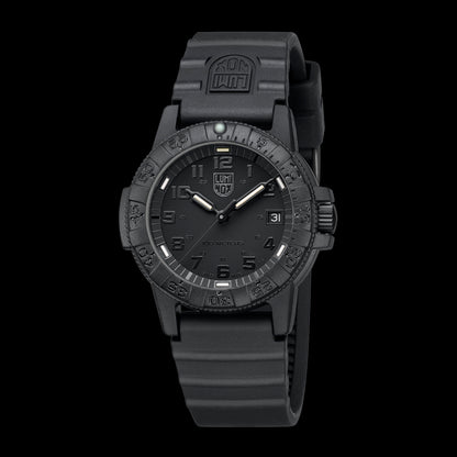 Leatherback Sea Turtle - 0301.BO