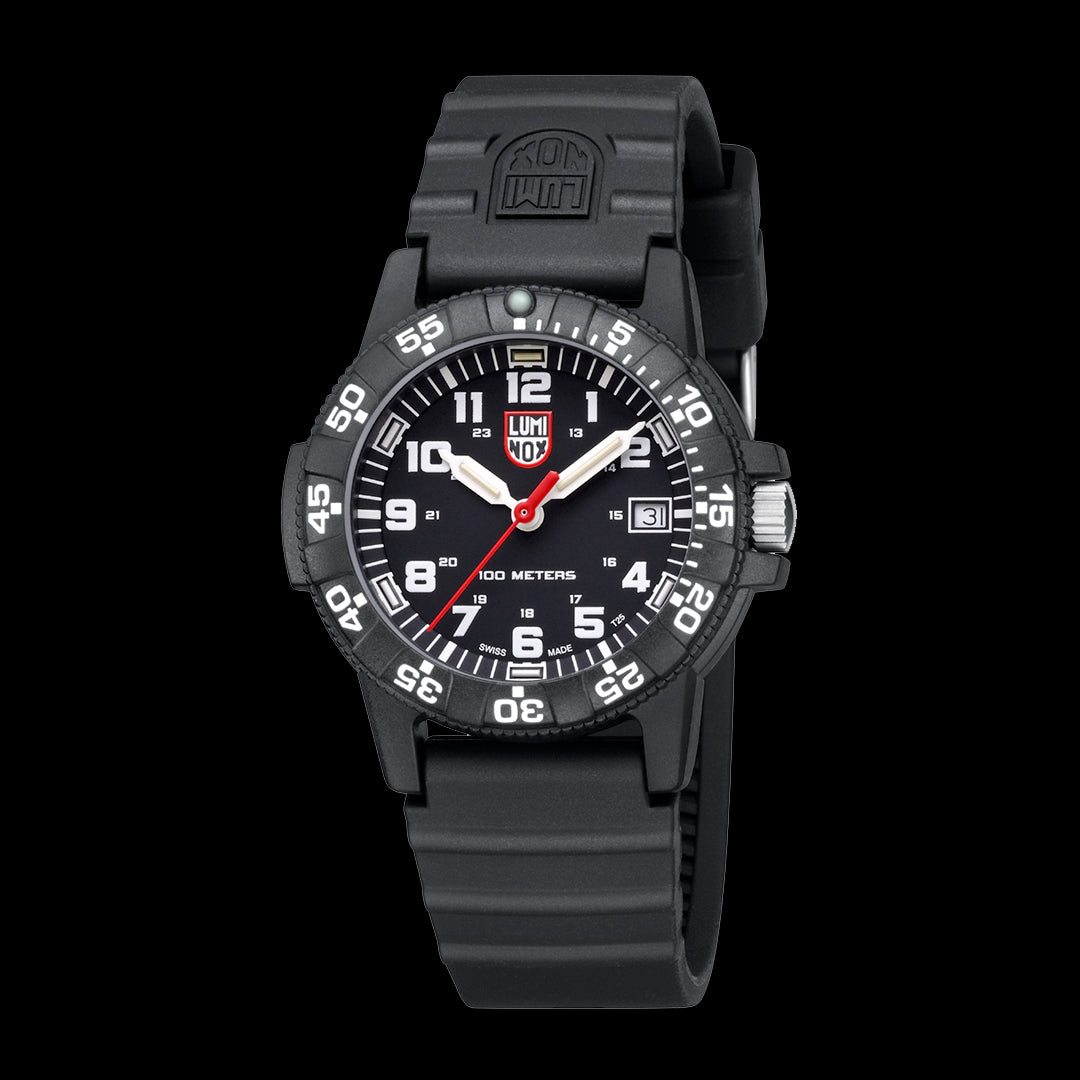 Leatherback Sea Turtle - 0301