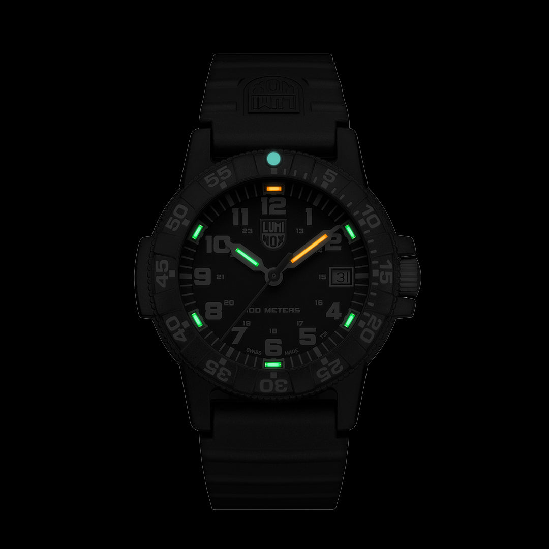 Leatherback Sea Turtle - 0301