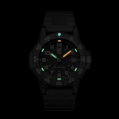 Leatherback Sea Turtle - 0301