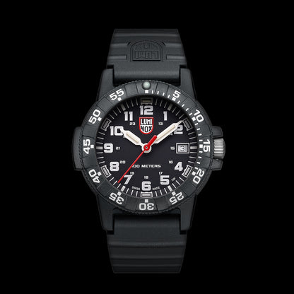 Leatherback Sea Turtle - 0301