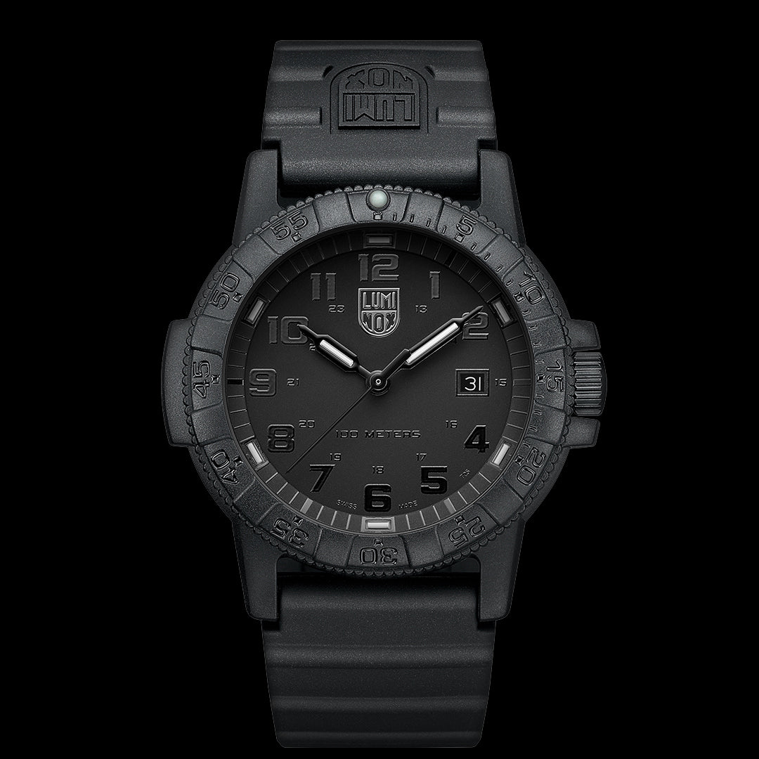 Leatherback Sea Turtle Giant - 0321.BO