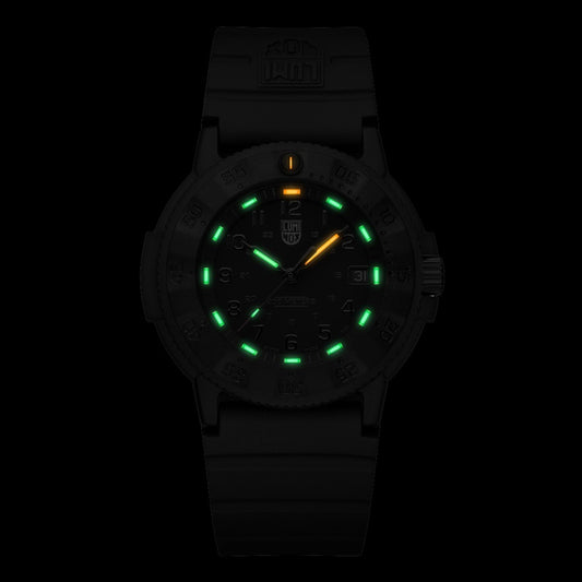 Luminox Original EVO Series - 3001.EVO.BO